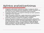 Rekreacijos ir turizmo programa Klaipėdos Piliavietėje 10 puslapis