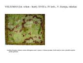 Rokoko stilius Vakarų Europoje, jo paminklai 20 puslapis