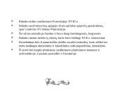 Rokoko stilius Vakarų Europoje, jo paminklai 4 puslapis