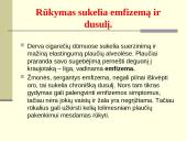 Rūkymo pasekmės 20 puslapis