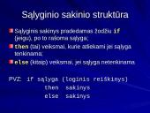 Sąlyginis sakinys 3 puslapis