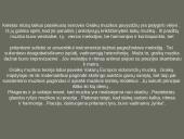 Senovės Egipto, Graikijos muzikos kultūros 5 puslapis