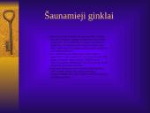 Senovės ginklai 13 puslapis