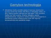 Silikatinės plytos 2 puslapis