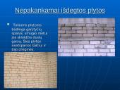 Silikatinės plytos 11 puslapis