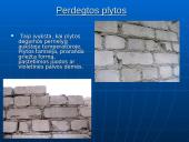 Silikatinės plytos 12 puslapis