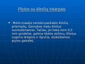 Silikatinės plytos 13 puslapis