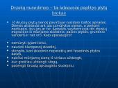 Silikatinės plytos 15 puslapis