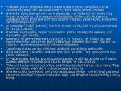 Silikatinės plytos 17 puslapis