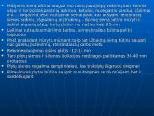 Silikatinės plytos 18 puslapis