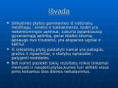 Silikatinės plytos 19 puslapis