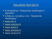 Silikatinės plytos 20 puslapis