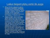 Silikatinės plytos 8 puslapis