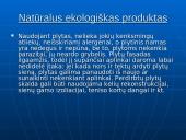 Silikatinės plytos 9 puslapis