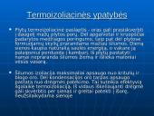 Silikatinės plytos 10 puslapis