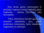 Specialieji procesoriai 16 puslapis