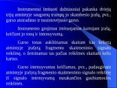 Specialieji procesoriai 17 puslapis