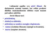 Statiniai ant kanalų 6 puslapis