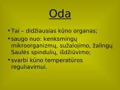 Stuburinių gyvūnų danga 2 puslapis