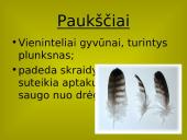 Stuburinių gyvūnų danga 16 puslapis