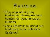 Stuburinių gyvūnų danga 17 puslapis