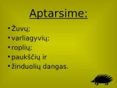 Stuburinių gyvūnų danga 3 puslapis