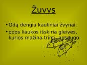 Stuburinių gyvūnų danga 4 puslapis