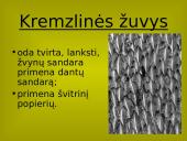 Stuburinių gyvūnų danga 5 puslapis