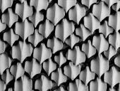 Stuburinių gyvūnų danga 6 puslapis