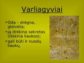 Stuburinių gyvūnų danga 9 puslapis