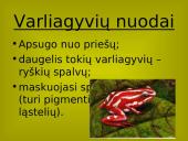 Stuburinių gyvūnų danga 10 puslapis