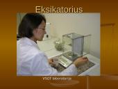 Svorio analizės metodo taikymas aplinkos tyrimams 4 puslapis