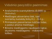 Svorio analizės metodo taikymas aplinkos tyrimams 7 puslapis