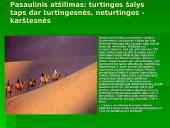 Šiltnamio efektas ir jo keliama žala aplinkai 11 puslapis