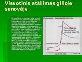 Šiltnamio efektas ir jo keliama žala aplinkai 19 puslapis