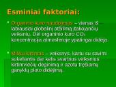 Šiltnamio efektas ir jo keliama žala aplinkai 8 puslapis