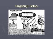 Šiluminiai reiškiniai ir ekologinės problemos. Cheminės medžiagos ir jų sukeliami procesai ekologiniu požiūriu 3 puslapis
