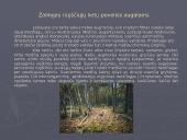 Šiluminiai reiškiniai ir ekologinės problemos. Cheminės medžiagos ir jų sukeliami procesai ekologiniu požiūriu 5 puslapis