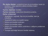 Šiuolaikinės finansinės paslaugos - kreditai 2 puslapis