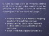 Šiuolaikinės finansinės paslaugos - kreditai 11 puslapis