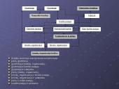 Šiuolaikinės finansinės paslaugos - kreditai 13 puslapis