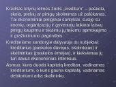 Šiuolaikinės finansinės paslaugos - kreditai 3 puslapis