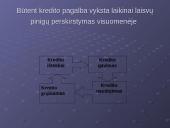 Šiuolaikinės finansinės paslaugos - kreditai 4 puslapis