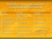 Šiuolaikiniai genetiniai metodai: Biotechnologija 13 puslapis