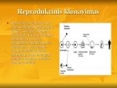 Šiuolaikiniai genetiniai metodai: Biotechnologija 16 puslapis