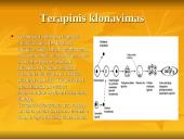 Šiuolaikiniai genetiniai metodai: Biotechnologija 17 puslapis