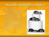 Šiuolaikiniai genetiniai metodai: Biotechnologija 19 puslapis