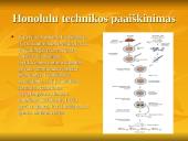 Šiuolaikiniai genetiniai metodai: Biotechnologija 20 puslapis
