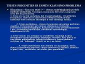 Teisės sampratų įvairovė. Teisės pagrindai 2 puslapis