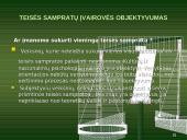 Teisės sampratų įvairovė. Teisės pagrindai 11 puslapis